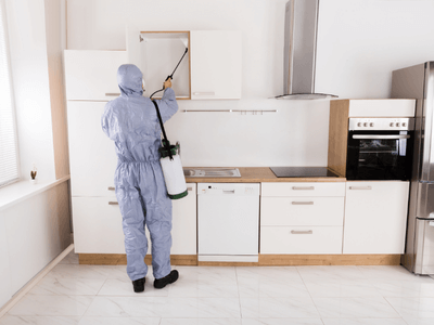 About Quarterly Pest Control Woods Cross - quarterly pest control experts in Woods Cross